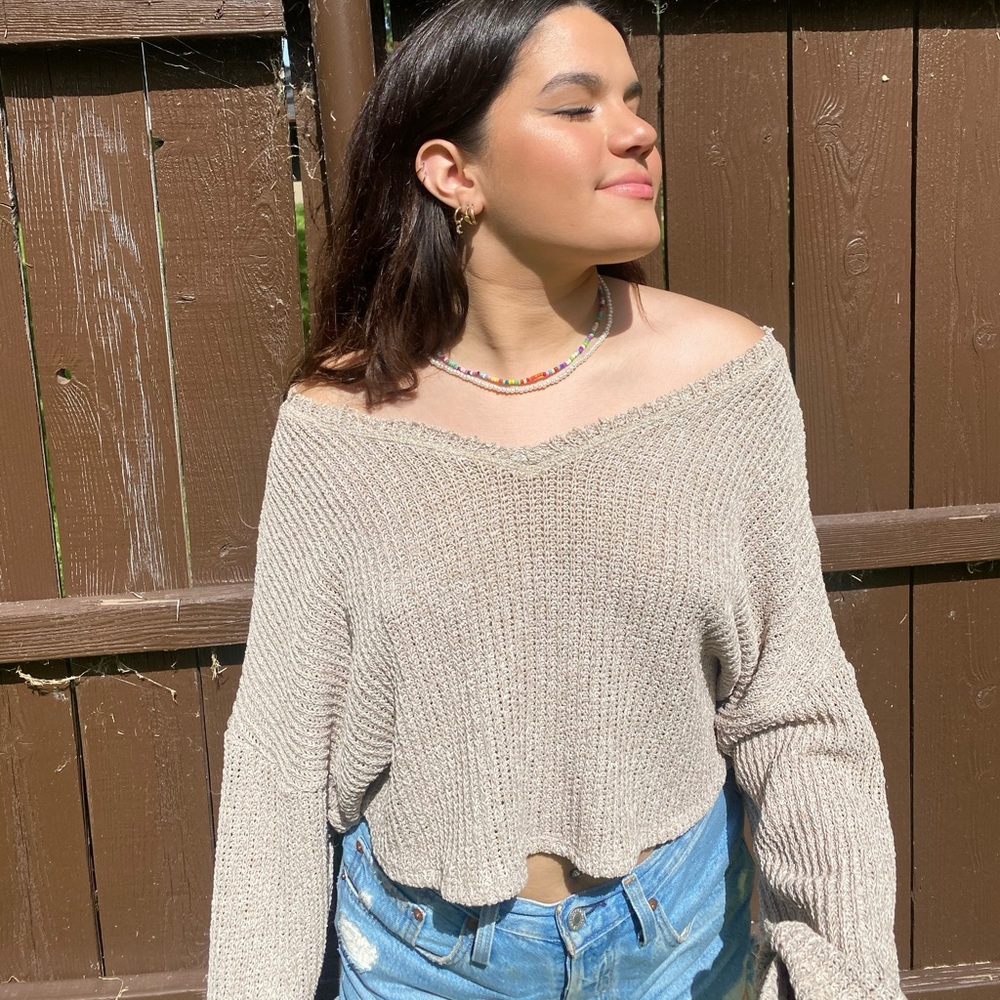 The Impeccable Pig tan cropped knit sweater